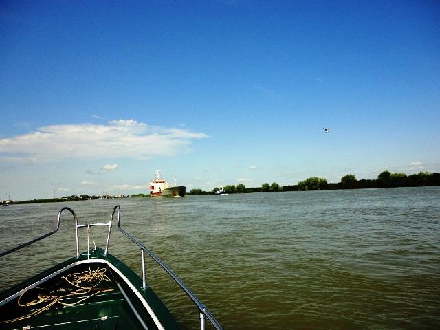 Doar ... NATURA - 3 - dsc09969.JPG